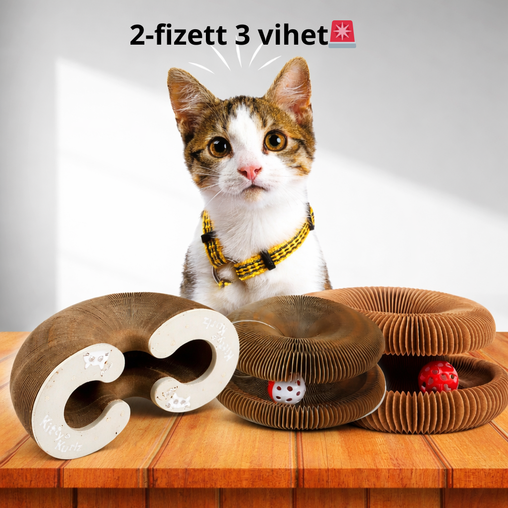 Fehér macska fej 😸